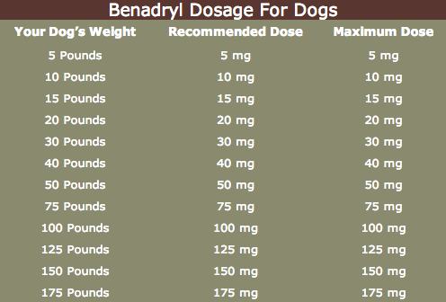 dogs and liquid benadryl