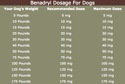 A dog benadryl dosage chart to help 