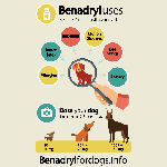 Benadryl dosage for dogs infographic