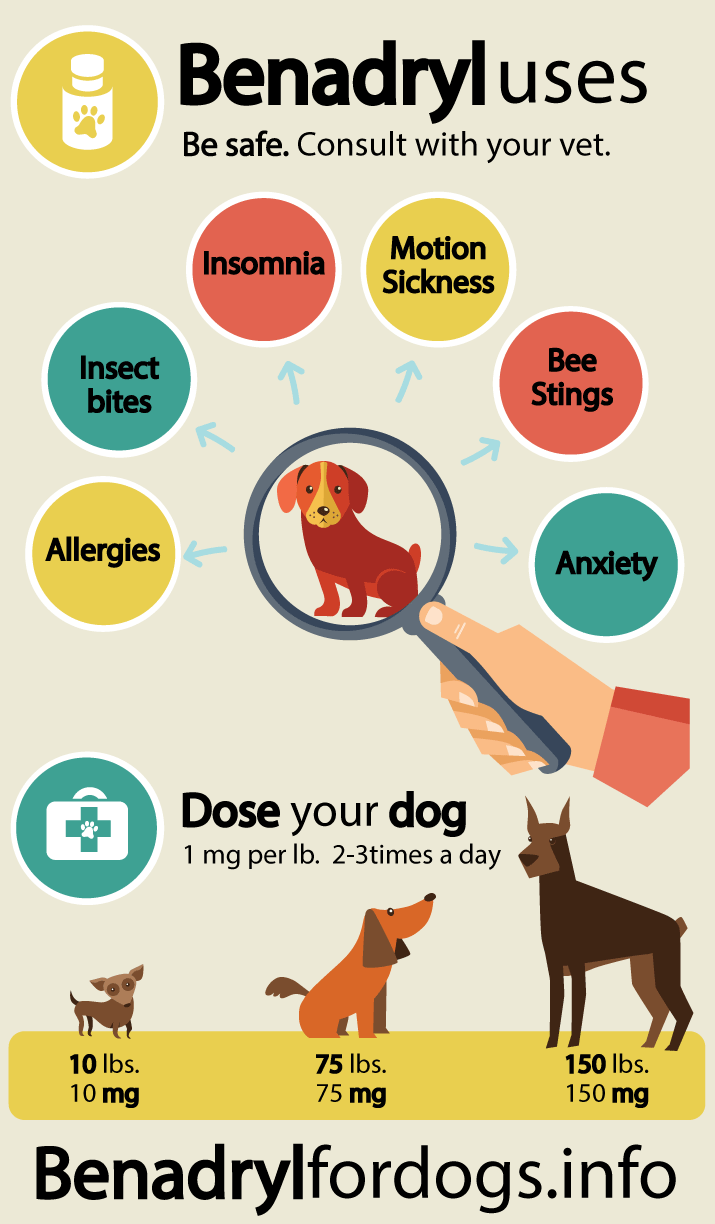 Benadryl For Dogs Dosage Chart Ml